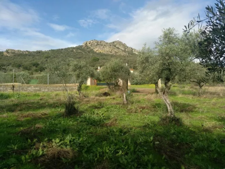 Finca Rústica en Cáceres | 3.168m²