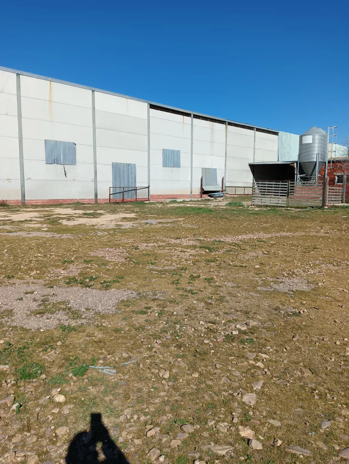 Finca Rústica en Madroñera | Cáceres | 250 m² | Olivos, frutales y encinas