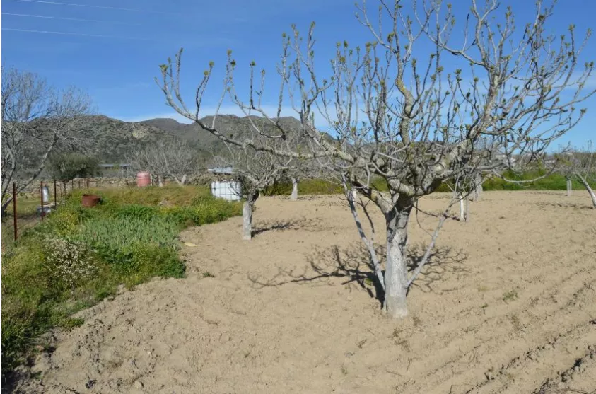 Fincas Rústicas en Cáceres | Terreno en venta en Cáceres