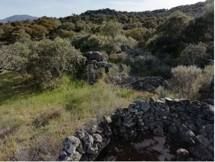 Finca Rústica en Camino San Gregorio | Ruanes | Cáceres | 9.421 m²