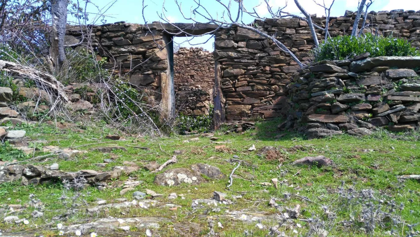 Finca Rústica en Camino de la Zarza | Huelva | 4 ha