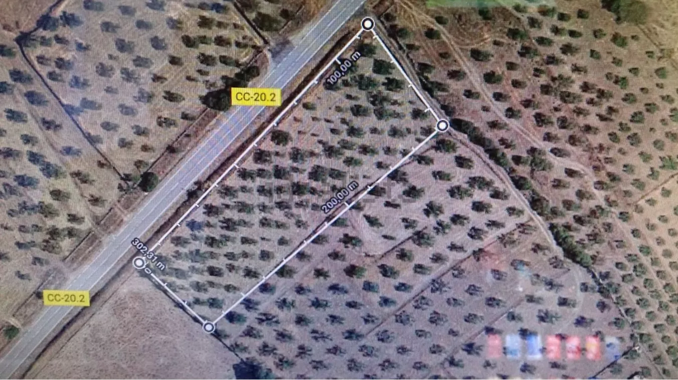 Finca Rústica con olivos en Carrascalejo | Cáceres | 4.301m²