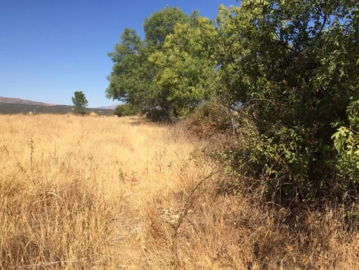 Parcela rústica en Las Hurdes-Ambroz, Cáceres