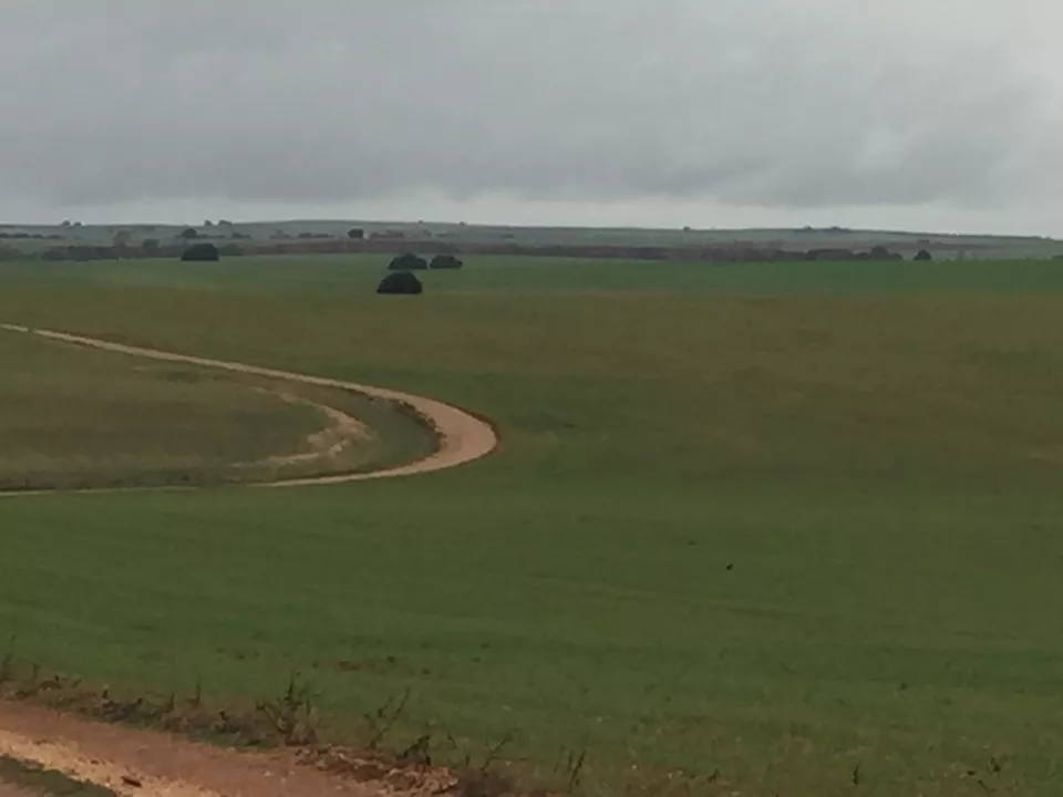 Finca Rústica en Aldenueva de Figueroa | Salamanca | 58 ha