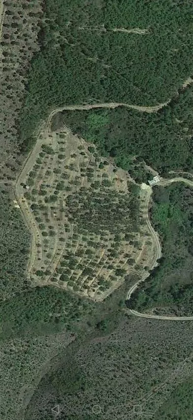 Finca Rústica en Avellanar | Extremadura | 8.000 m²
