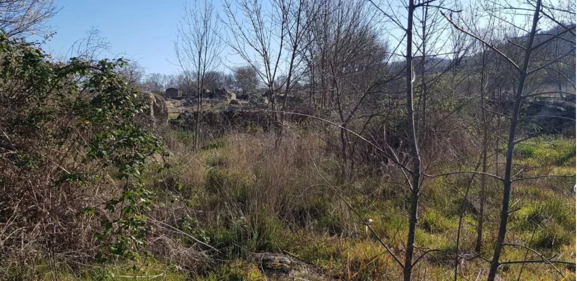 Finca rústica en El Jerte | Cáceres | 16000m2