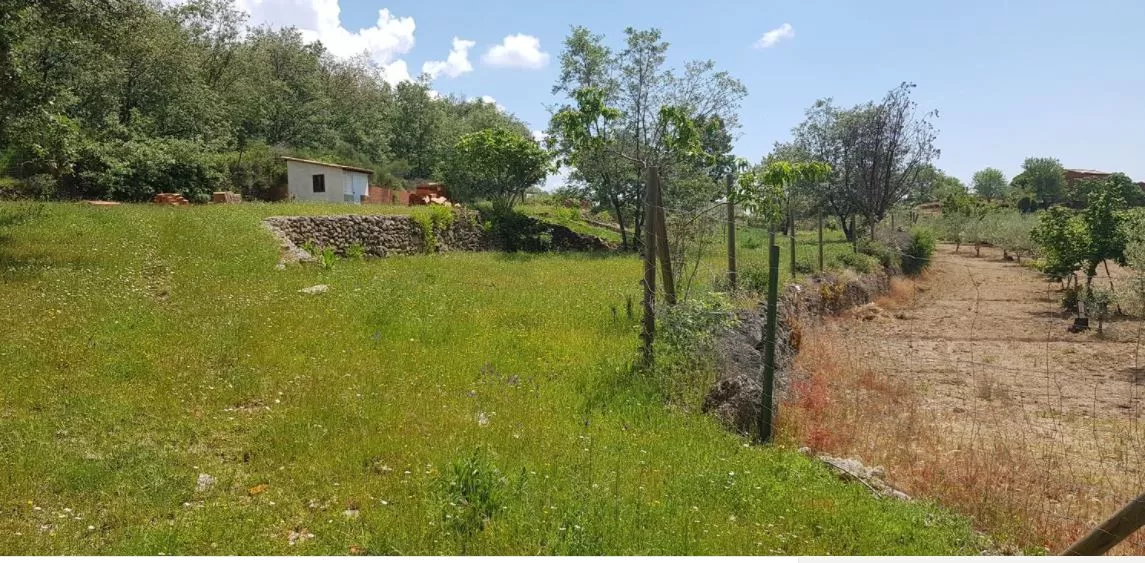 Finca en venta en La Vera | Cáceres | 4000m2