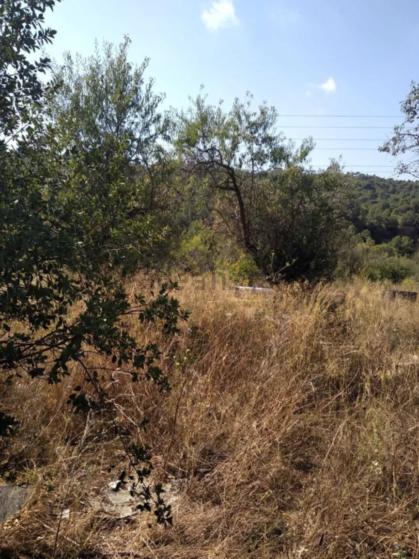 Terreno rústico de 2.300 m2 | Vallbona dAnoia | Barcelona