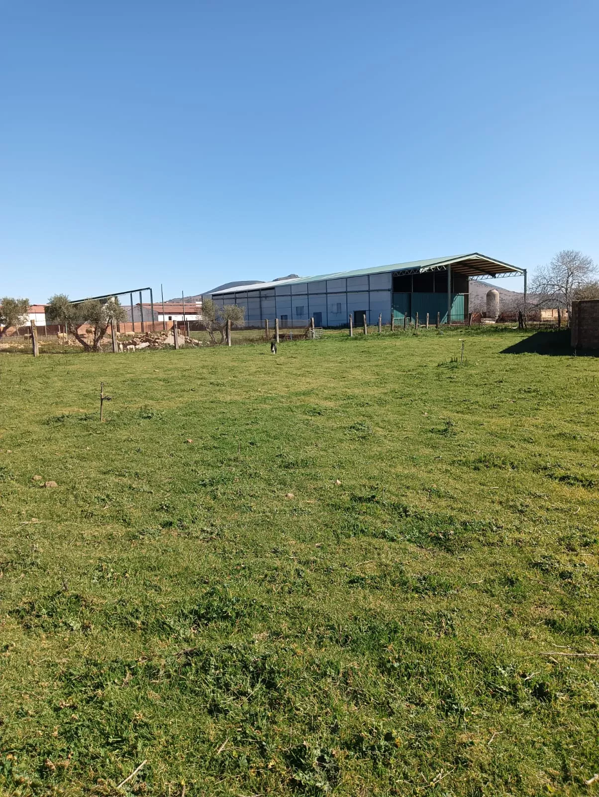 Terreno rústico 1000m2 | Malpartida de Plasencia | Cáceres