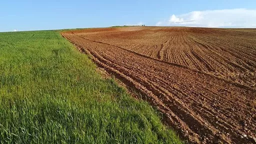 Finca rústica de labor de regadío | 151 ha | Sevilla
