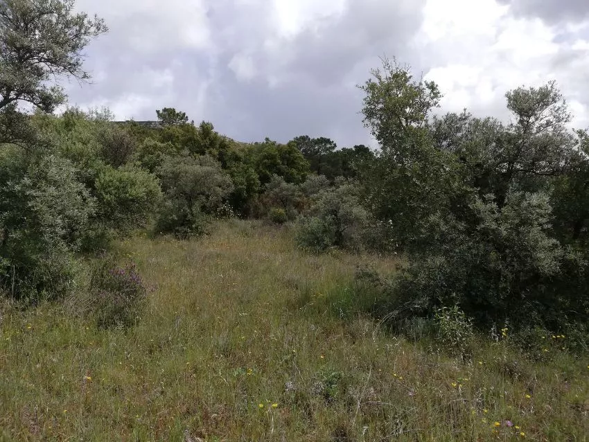 Finca Rústica en Paraje de Santa Catalina s/n | El Jerte | Cáceres | 7.100 m²