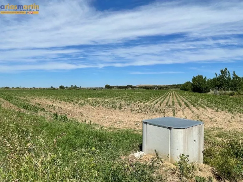 Finca Rústica en Centerrubio | Salamanca | 9,4 ha