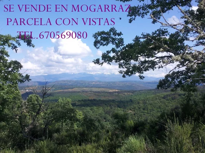 Finca en venta en Mogarraz | Salamanca | 953 m2