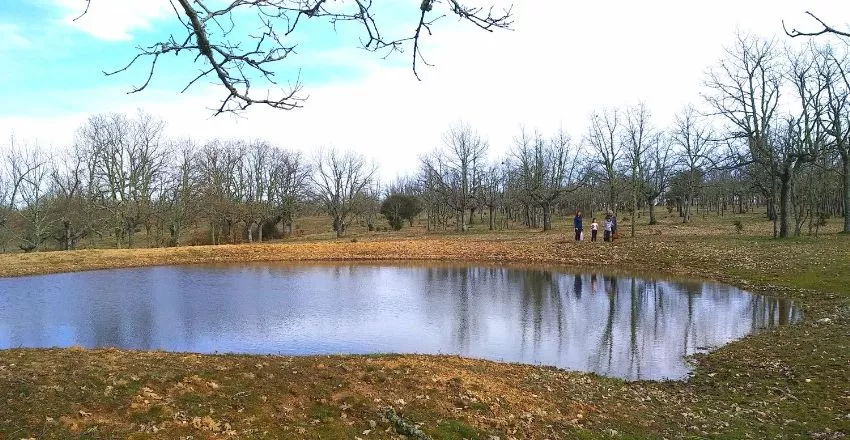 Finca para comprar en Peralejos de Arriba | Salamanca | 100.000 m2