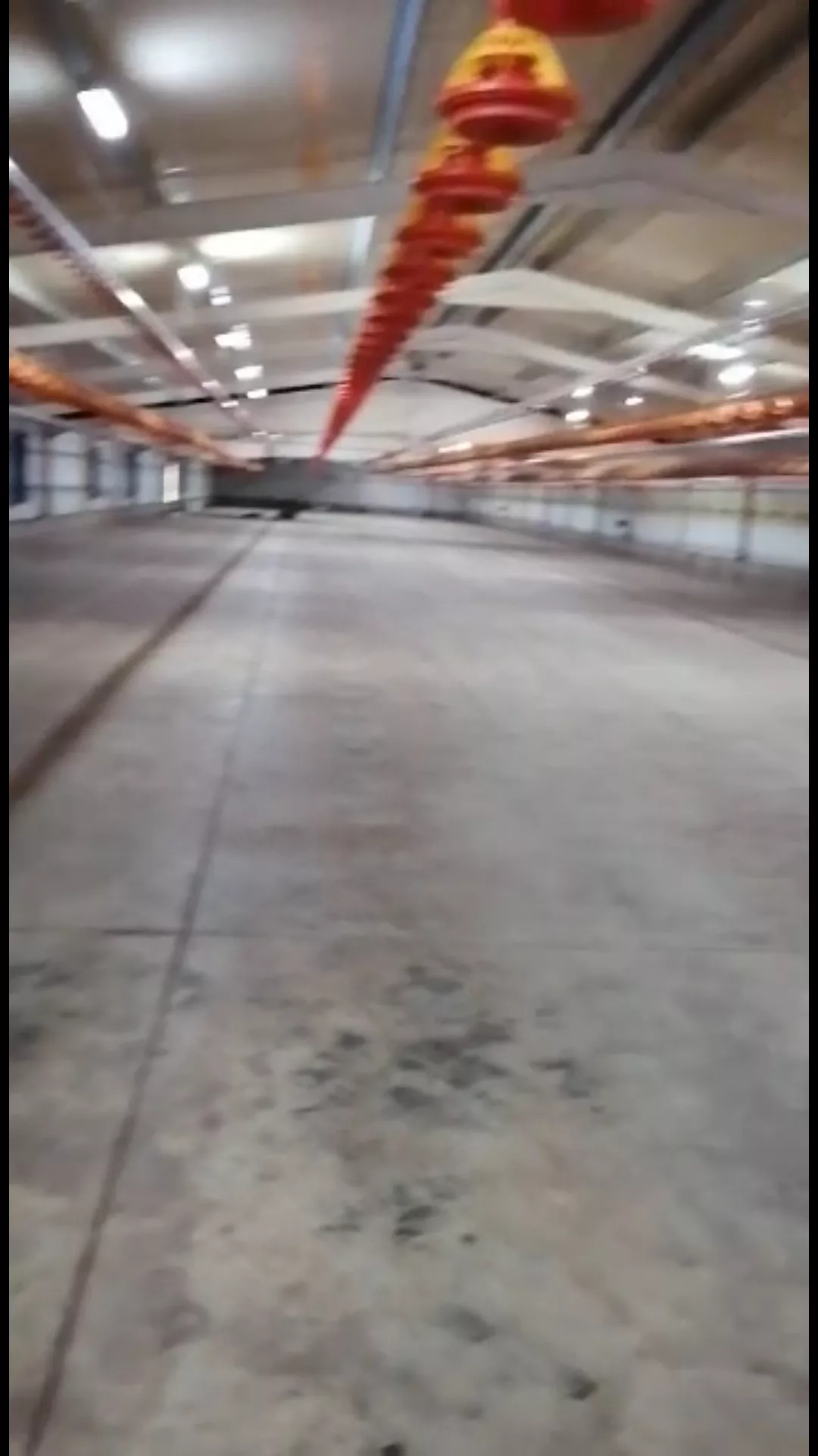 Nave avícola explotación porcina y vacuno | 10 ha | Aracena