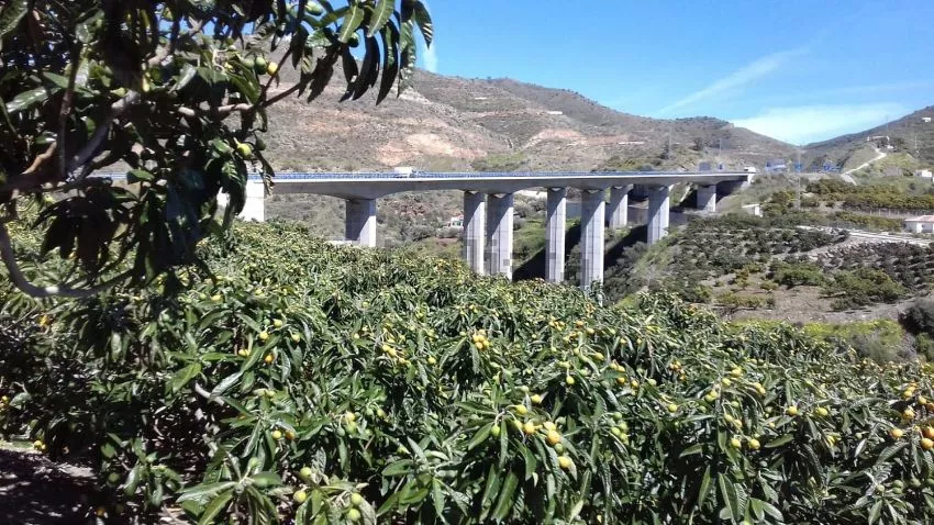 Finca rústica en Torrox | Málaga | 3.600 m2