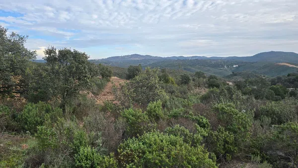 Venta de finca