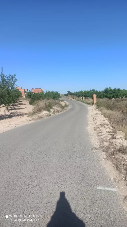 PARCELAS rústicas en Agost.