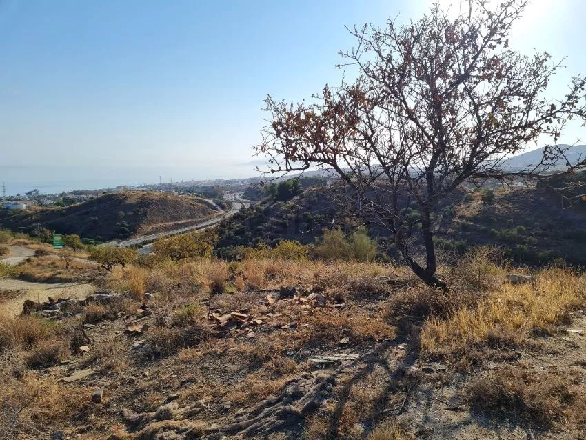 Terreno en venta en Málaga | Andalucía | 20.000 m2