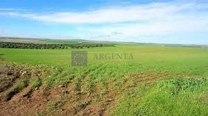 Finca Ganadera 600ha Aliseda