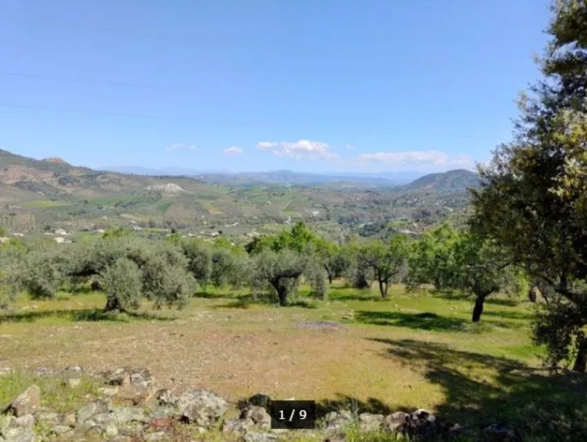 Finca rústica en Valle de Guadalhorce | Málaga | 8.557 m2