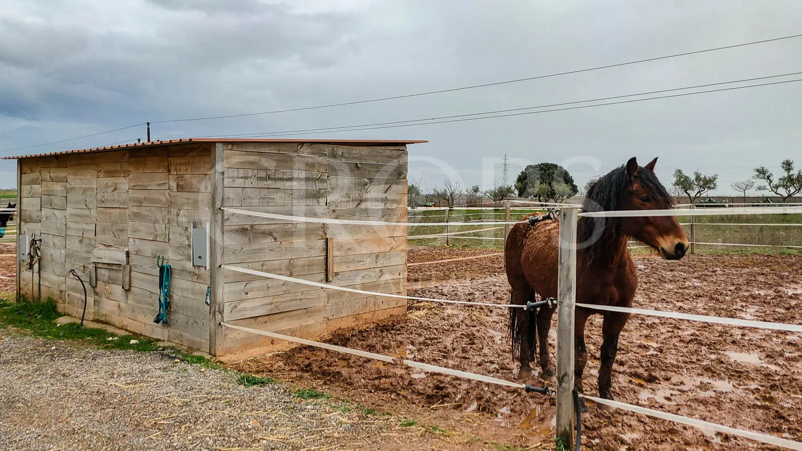 Hípica en venta a menos de 1 hora de Madrid