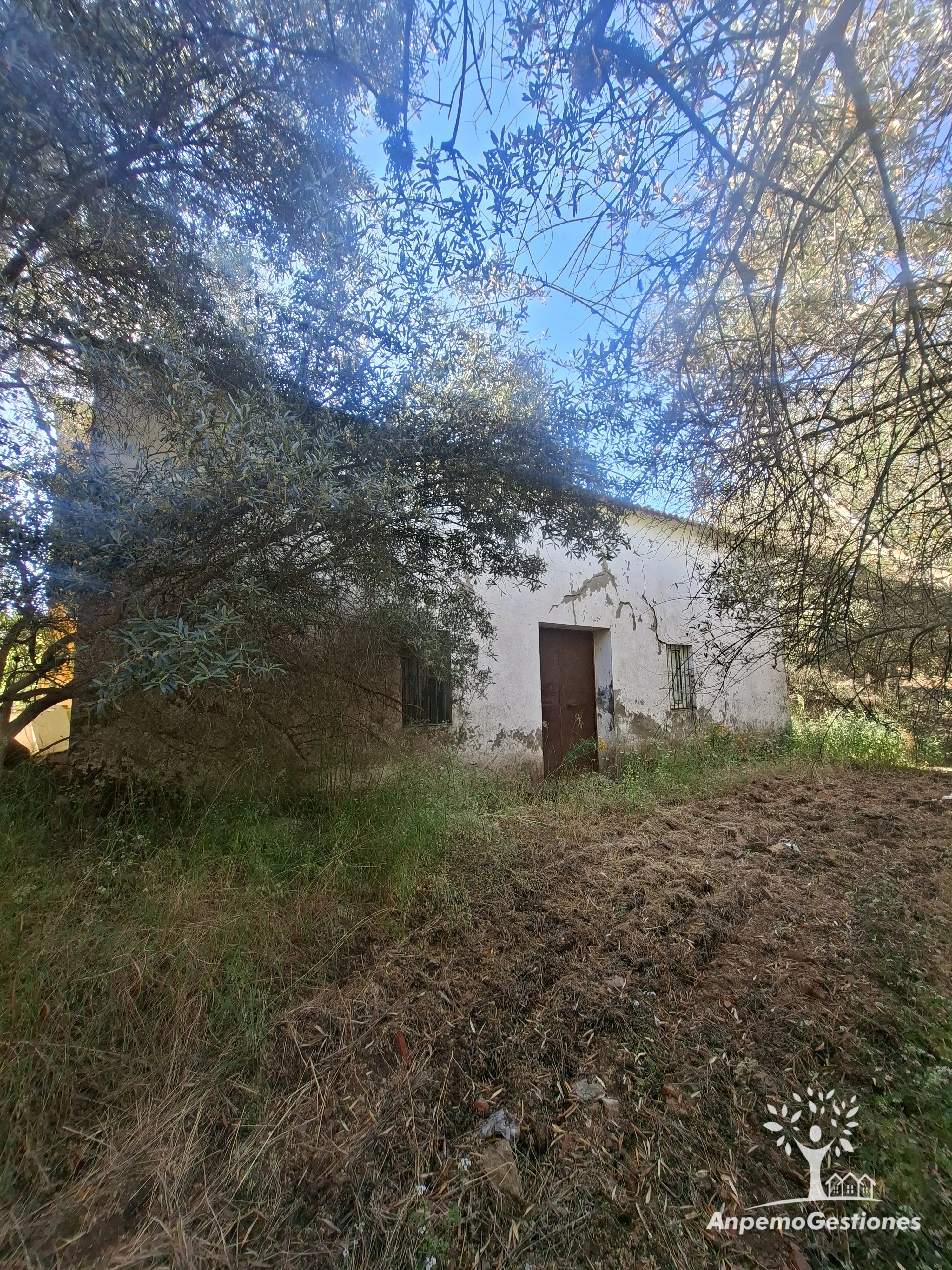 Imagen del inmueble