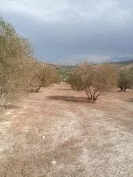 Se  vende o se alquila