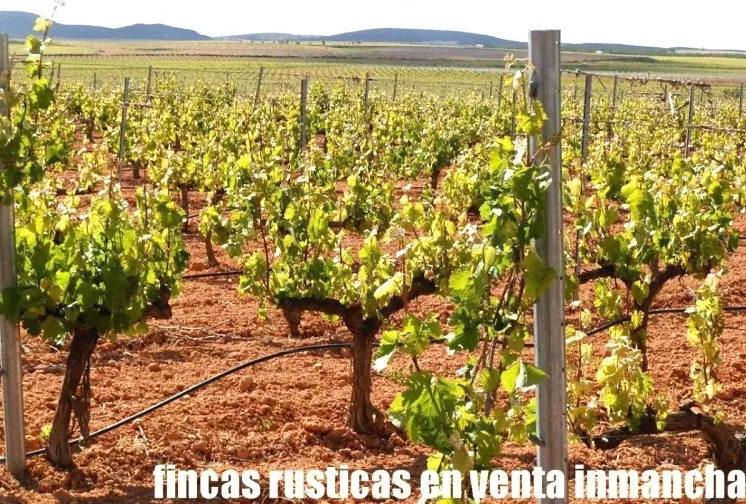 Venta de Explotación agrícola en Albacete