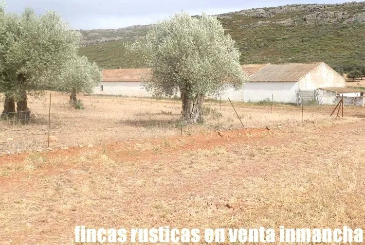Venta de Explotación agrícola en Ciudad Real