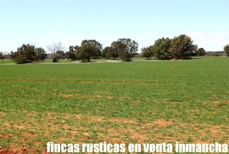 Venta de Finca cinegética con labor y monte en Albacete