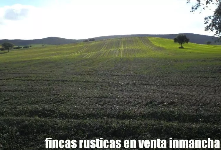 Venta de Labor secano en Ciudad Real