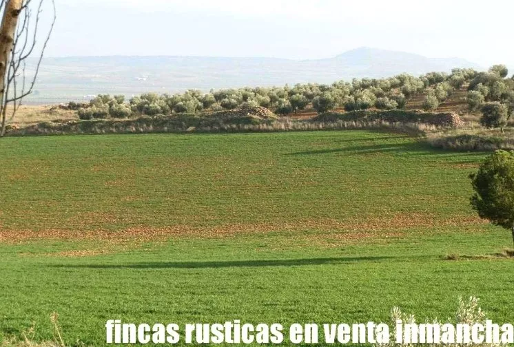 Venta de Finca agrícola en Ciudad Real