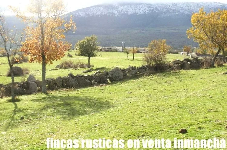 Venta de Finca con pastos ganaderos en Segovia