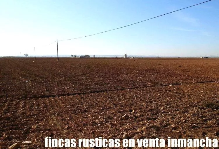 Venta de Finca de regadío en Ciudad Real