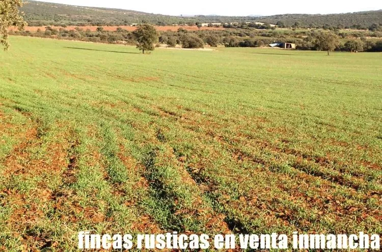 Venta de Finca cinegética en Ciudad Real