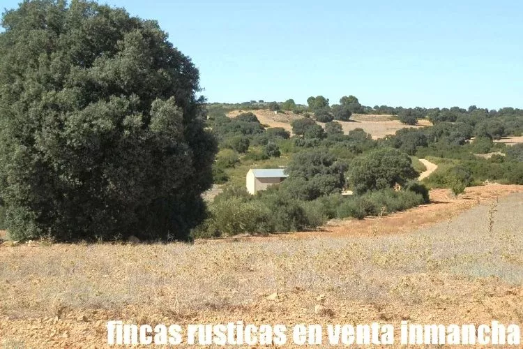 Venta de Finca de caza menor en Albacete