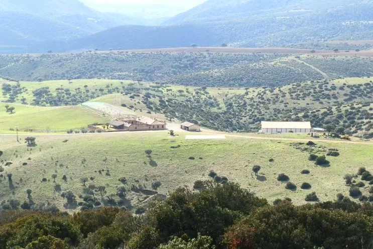 Venta de Finca de caza con casa en Ciudad Real