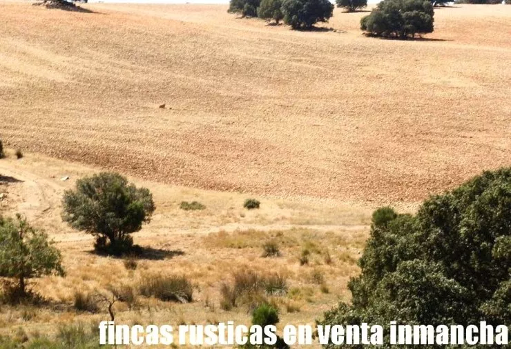 Venta de Finca de labor y monte en Albacete