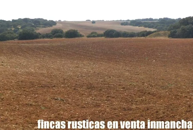 Venta de Explotación agrícola en Cuenca