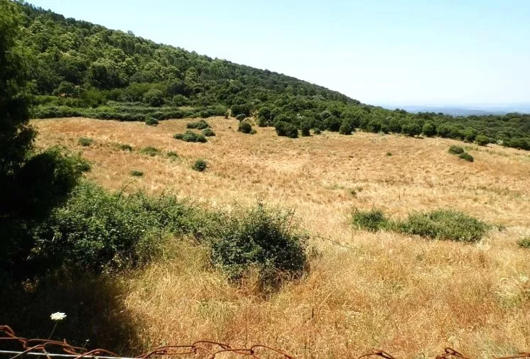 Venta de Finca de recreo en Toledo