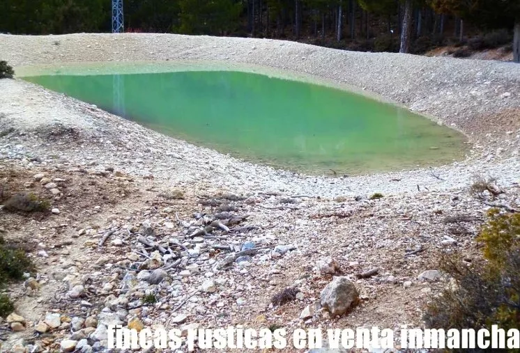 Venta de Terreno de monte en Albacete