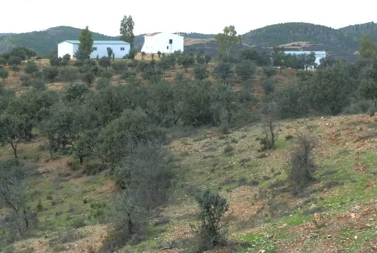 Venta de Finca ganadera con caserio y nave en Huelva