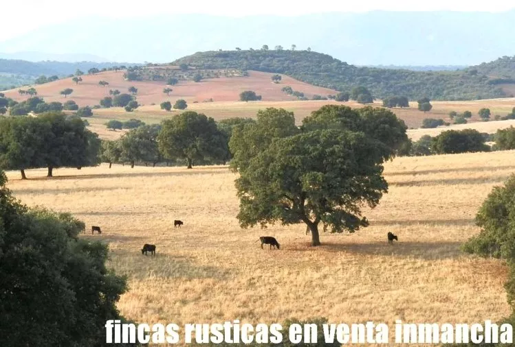 Venta de Finca ganadera en Badajoz