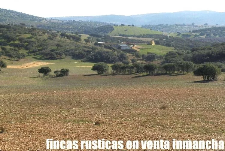 Venta de Explotación ganadera en Ciudad Real