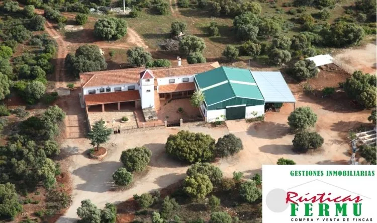 Venta de Finca de labor y caza en Albacete