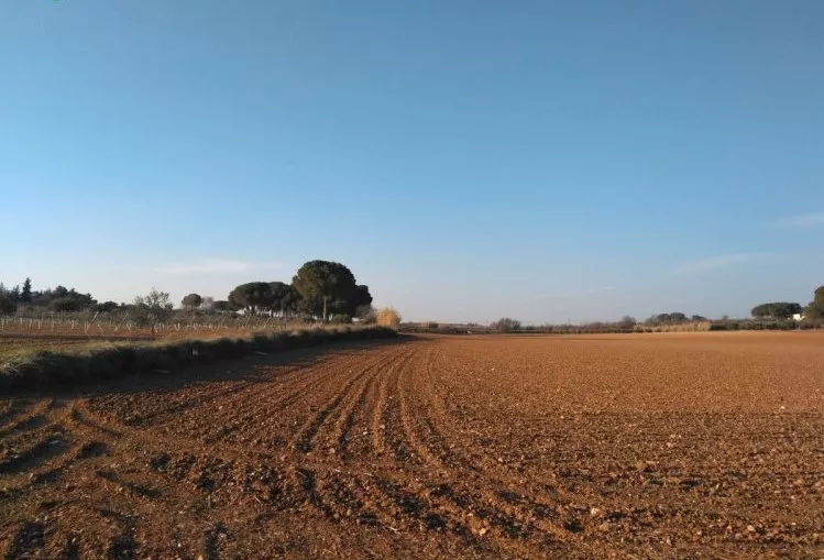 Venta de Finca de secano en Albacete