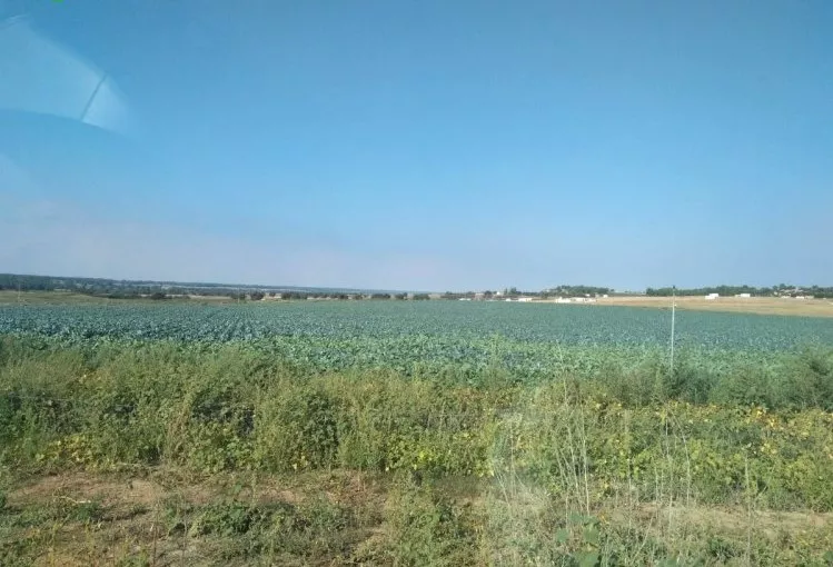 Venta de Parcela de regadío en Albacete
