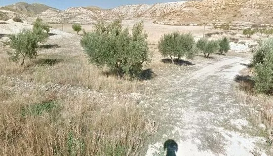 Venta de Tierra de secano para frutos secos en Granada