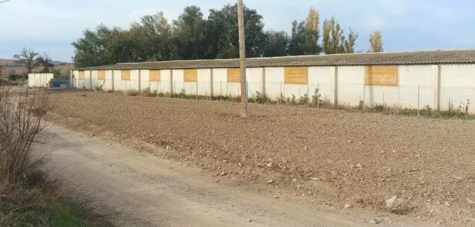 Venta de Granja de cerdos en Lleida